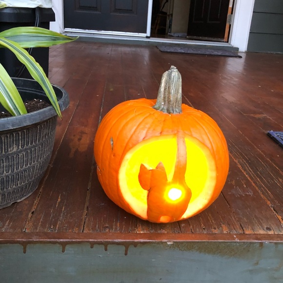 Meet your Posher, Dré 🖤 - Picture 3 of 8